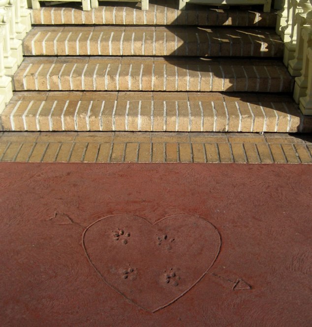 Paw prints outside of Tony's Town Square